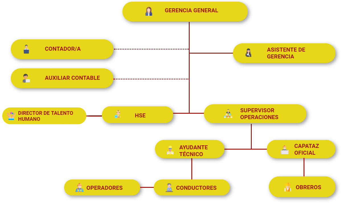 Estructura Organizacional